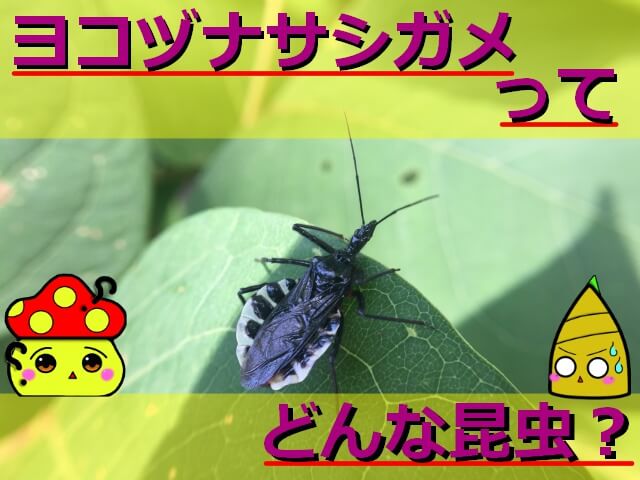 Thumbnail of post image 113